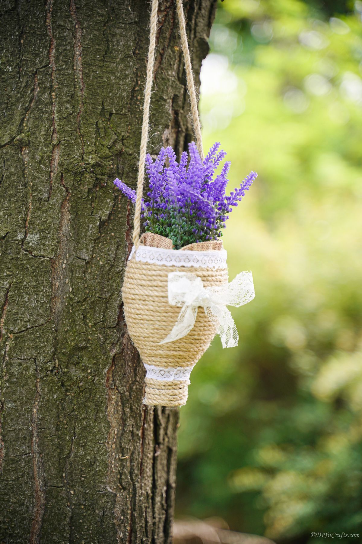 purple flowers on twine hanging planter on tree