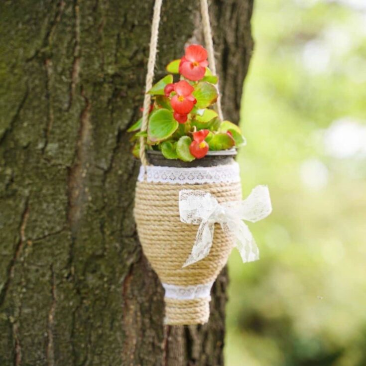 twine wrapped bottle planter hanging on tree