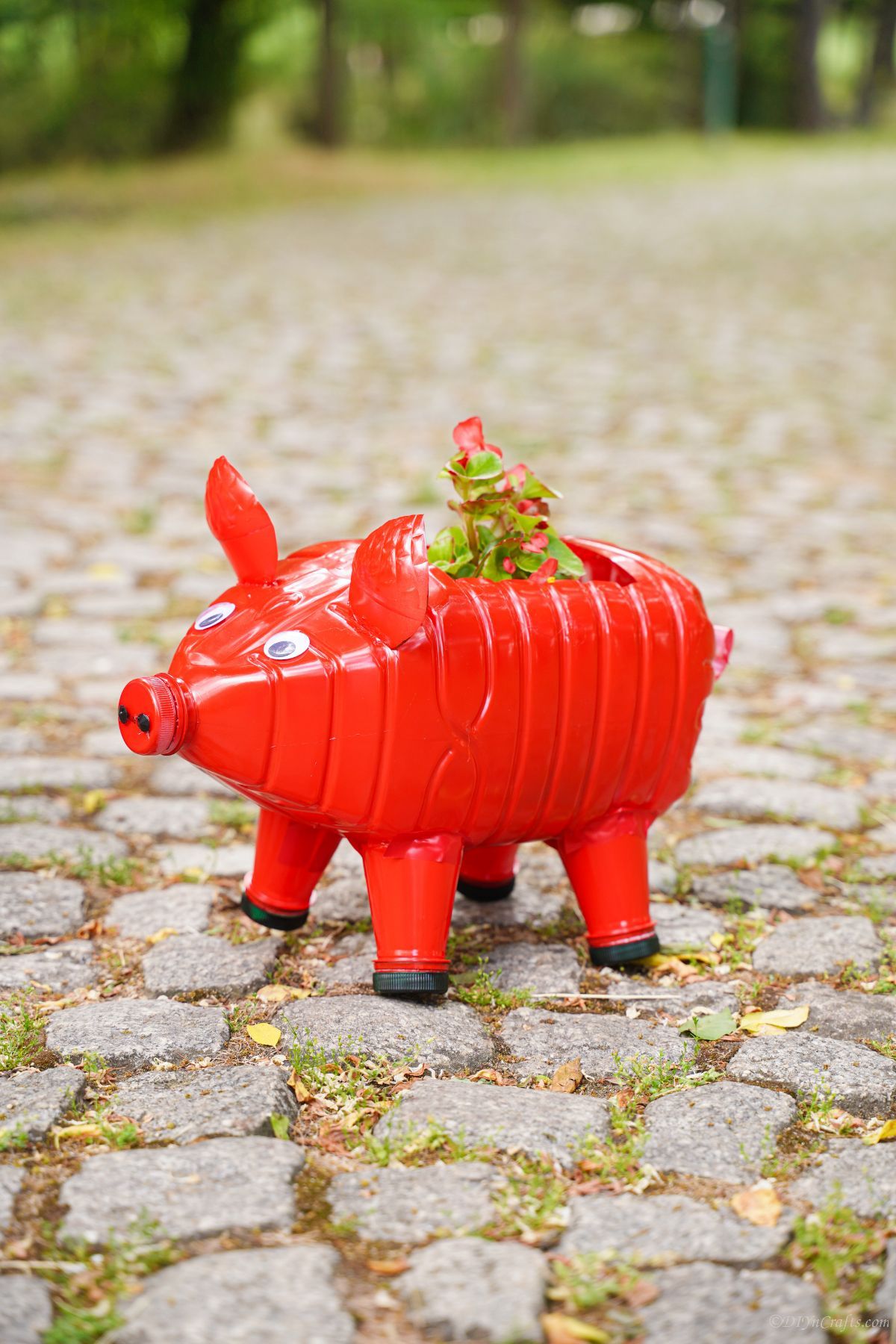 red plastic pig planter on cobblestone path