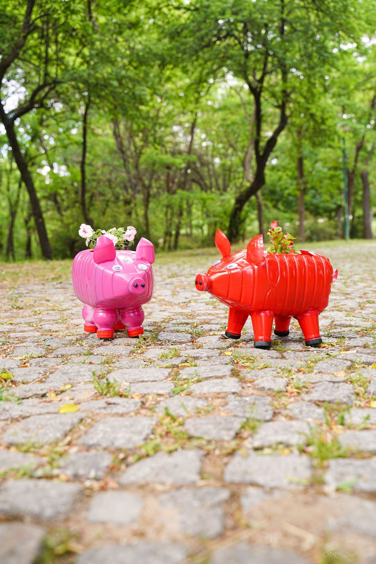 pink and red pig planters on cobblestone path