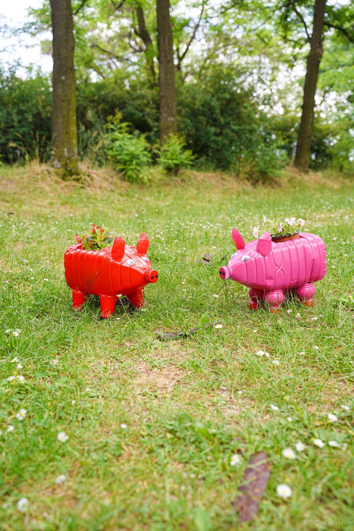 two pink and red planters shaped like pigs in grass yard