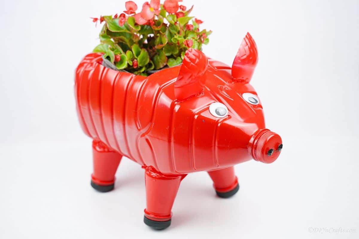 red plastic bottle pig on white table