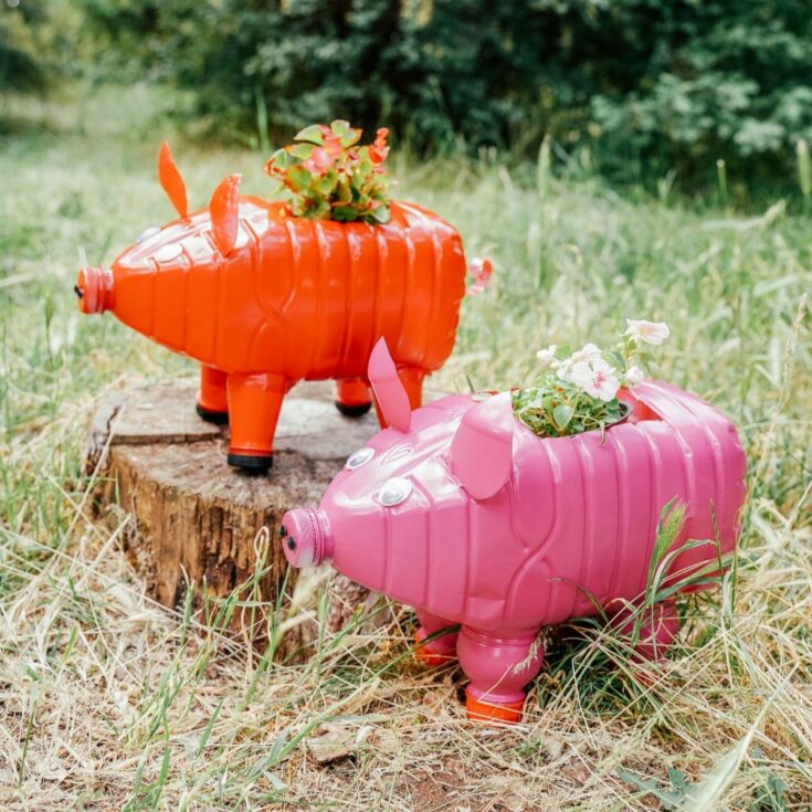 pink and red bottle pig planters on stump