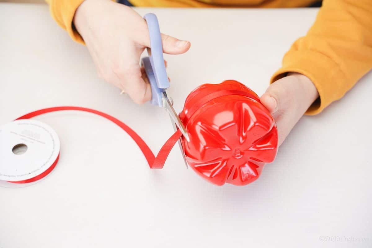 gray scissors cutting red ribbon around plastic bottle apple