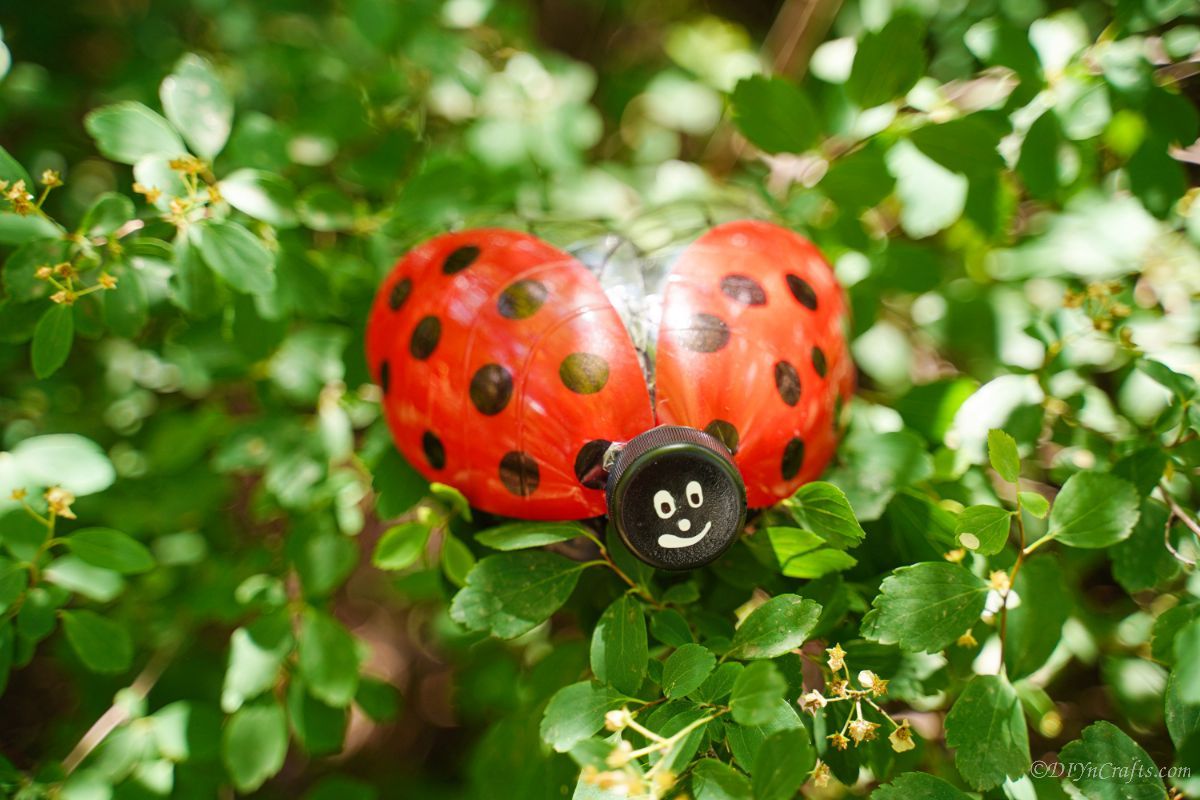 painted red and black ladybug decor in tree