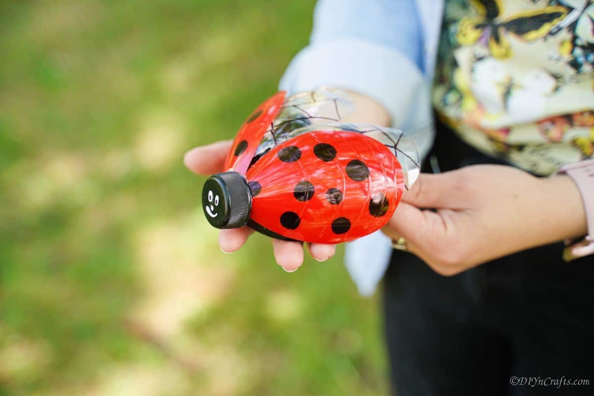 hands holding black and red ladybug decoration
