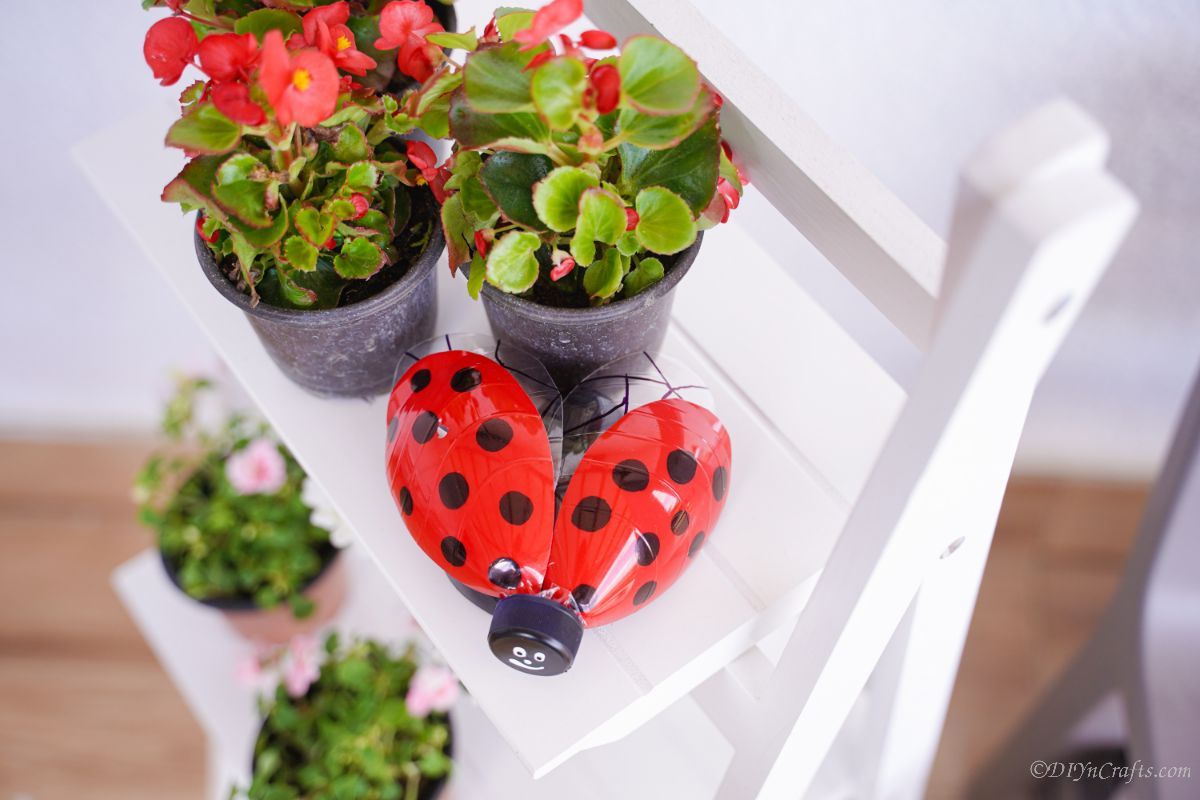 plastic bottle ladybug decoration on white shelf