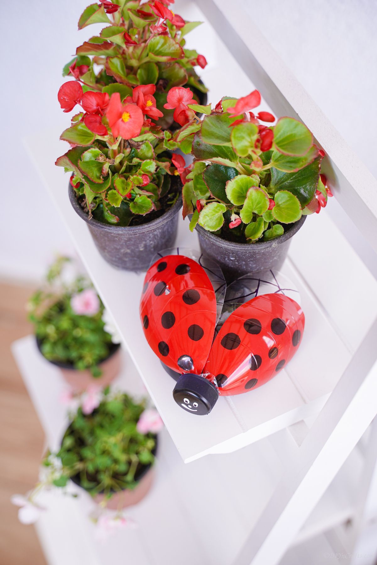 white shelf of plants with ladybug garden decoration on top