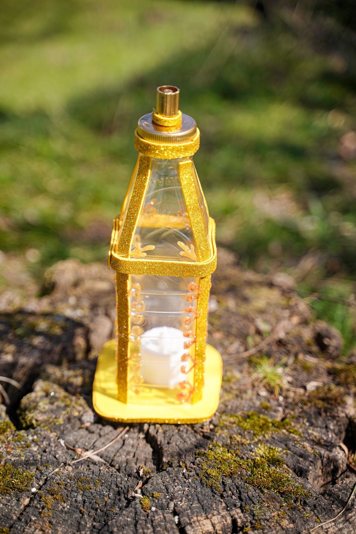 mini gold lantern on stump