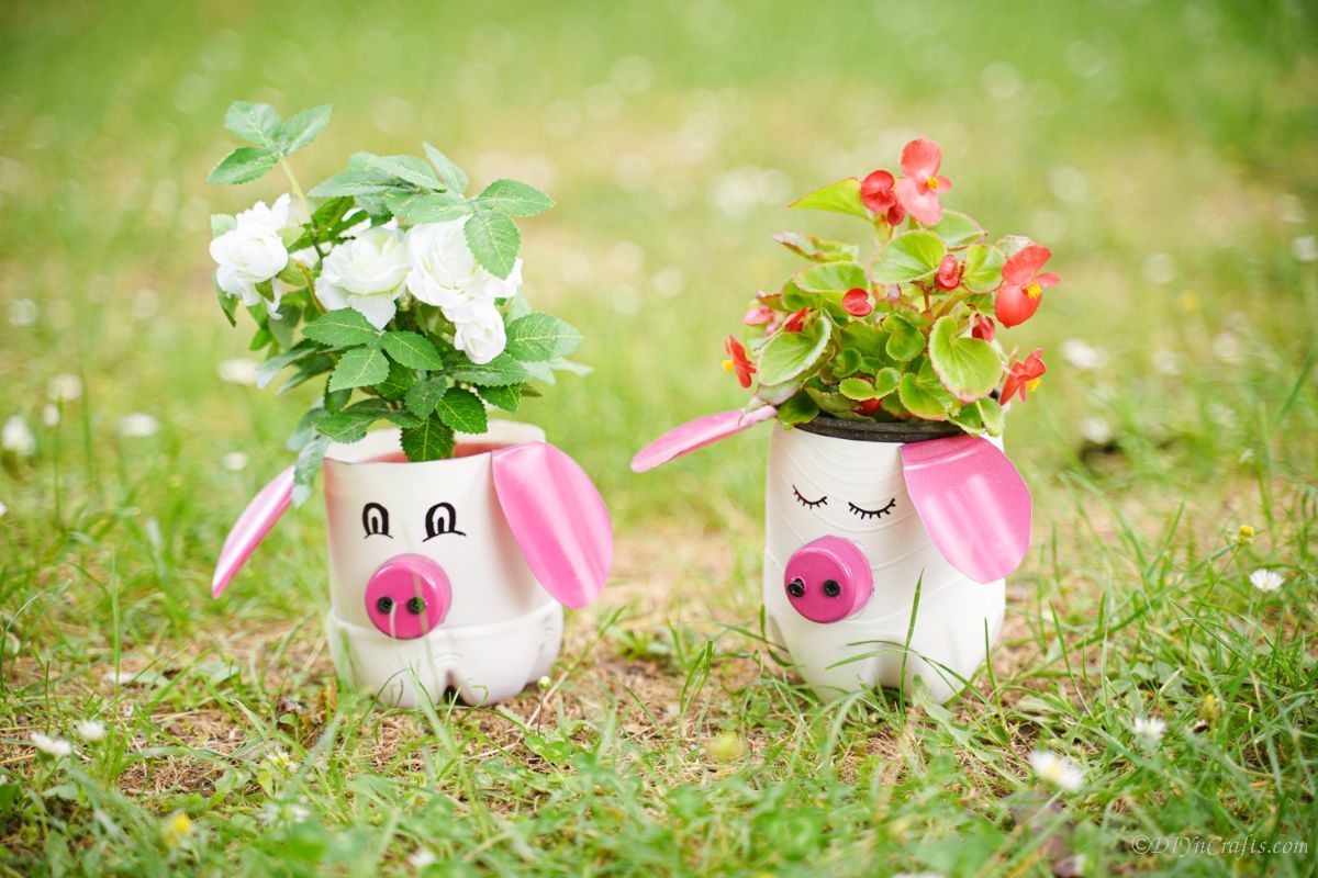 two pig planters in yard