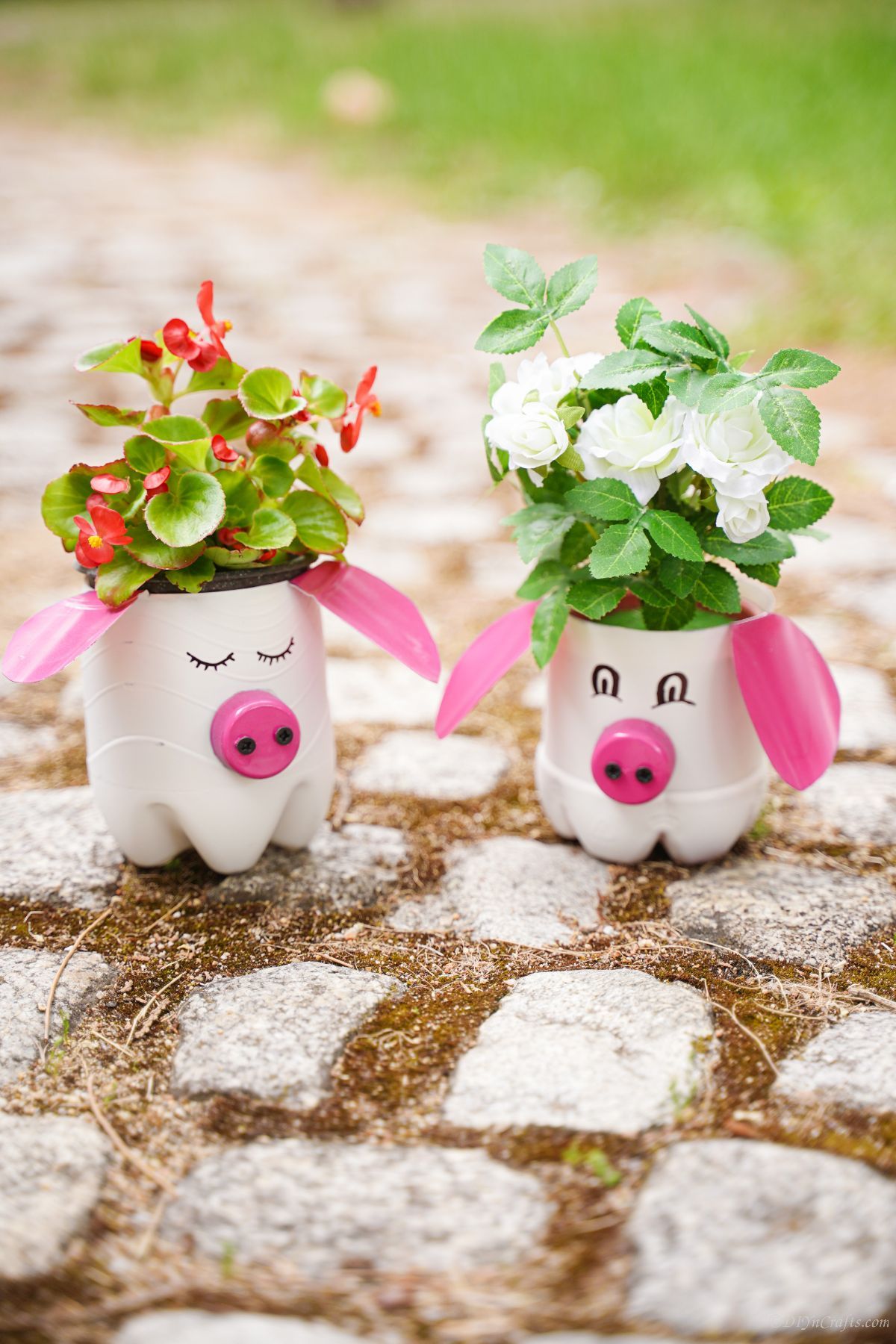 two pig planters made of plastic bottles with pink ears on stone path