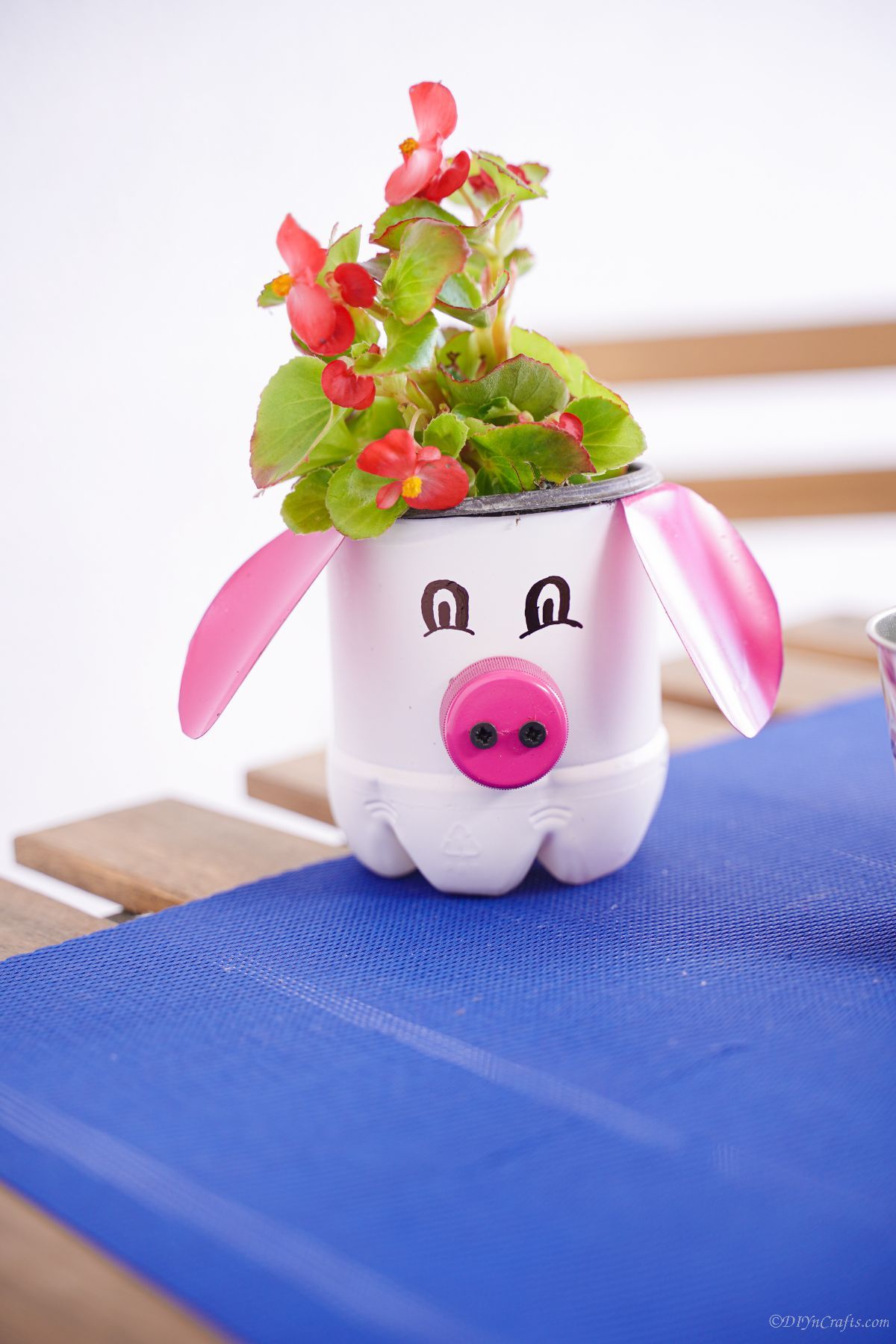 white bottle pig planter on blue and wood table