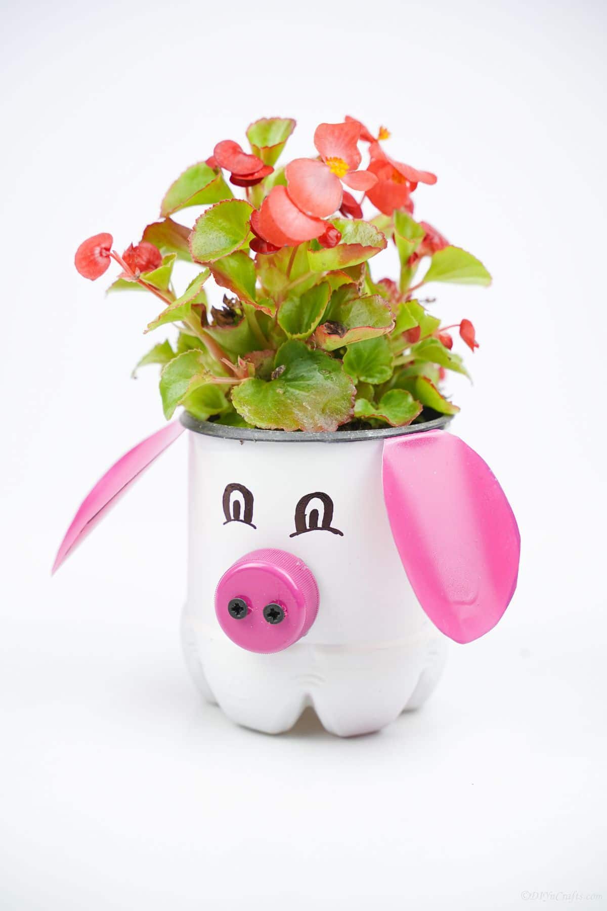 white and pink pig planter