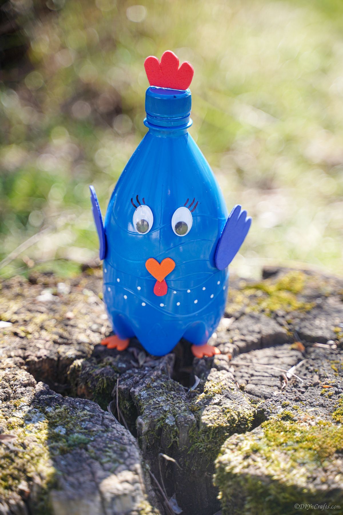 plastic bottle blue turkey on tree stump