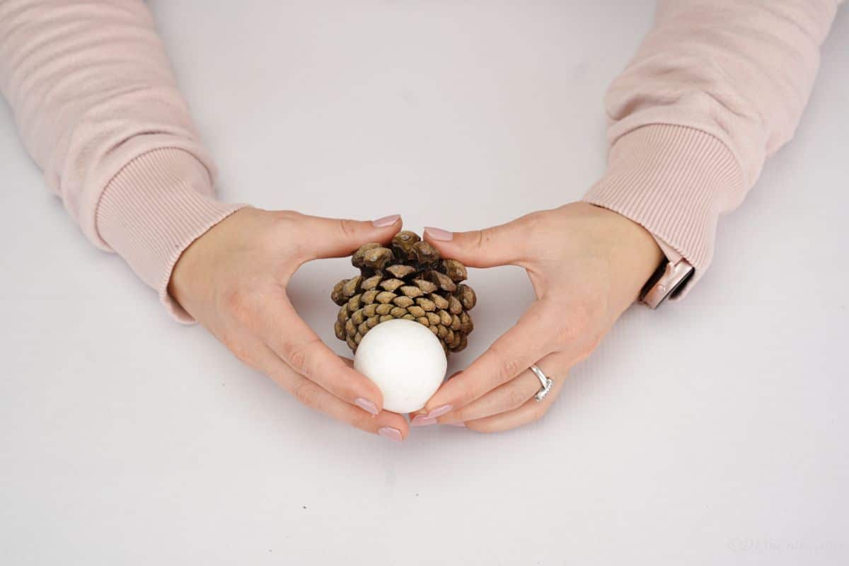 hand holding pinecone and white ball together