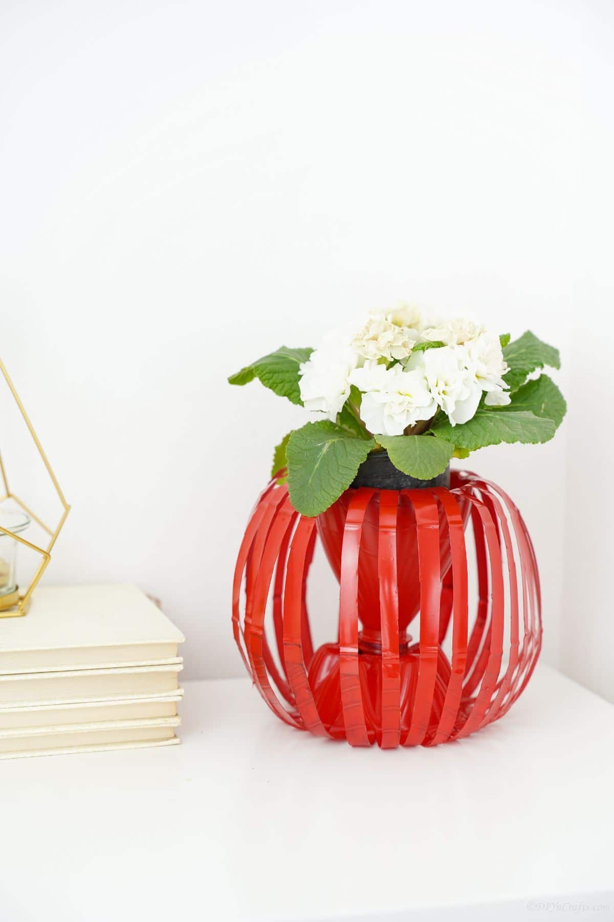 red round flower bot on white cabinet