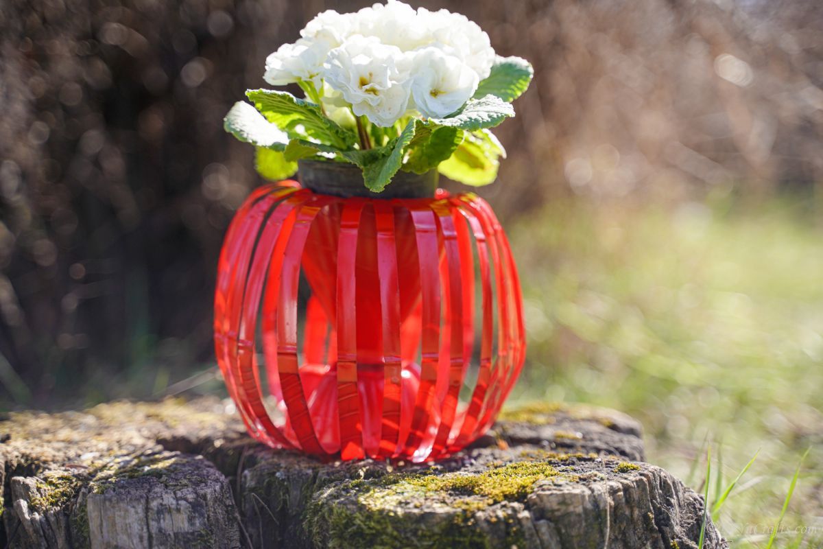 plastic bottle red planter with white flowers