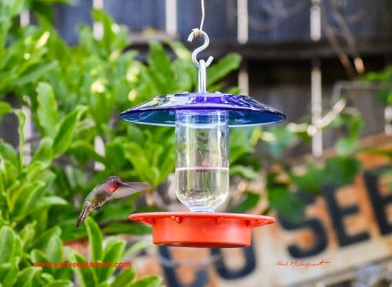 Hummingbird Feeder Easy to Clean Glass Bottle | Etsy