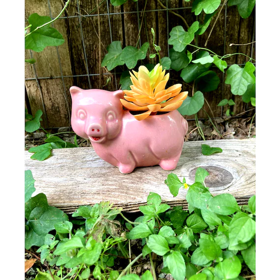 Vintage PIG Planter Pink Piggie Plant Holder | Etsy
