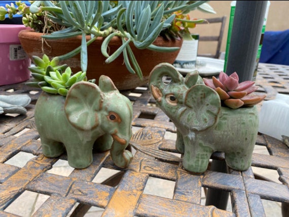 2 Elephant Shaped Succulents Plants Pot With Saucer Retro | Etsy