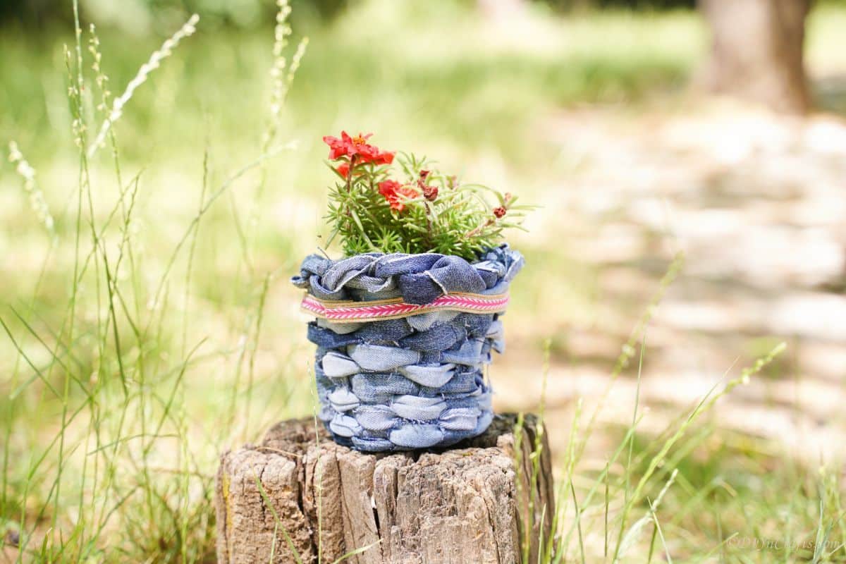 denim planter with red flowers on stump