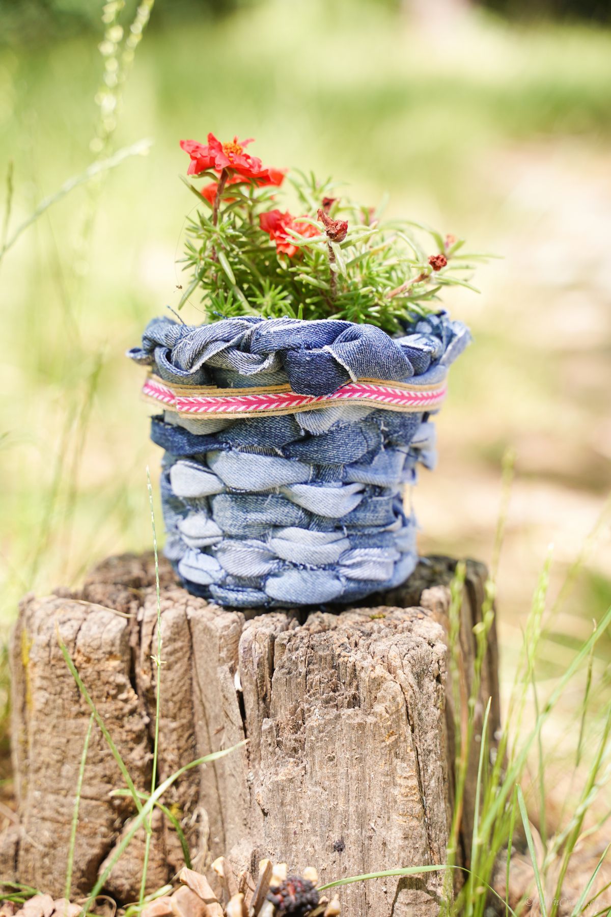 woven denim basket on tree stump with red flowers