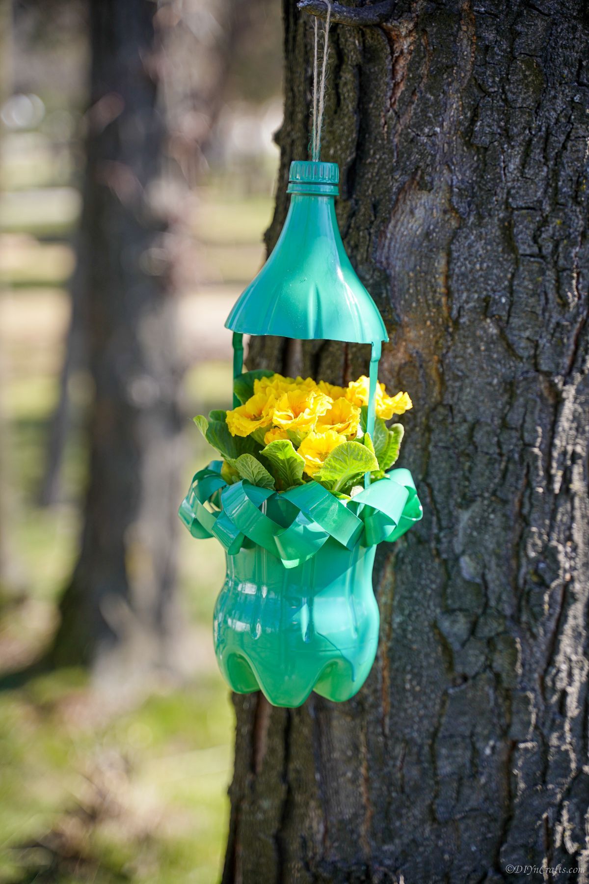 upcycled bottle planter hanging in tree with yellow flowers
