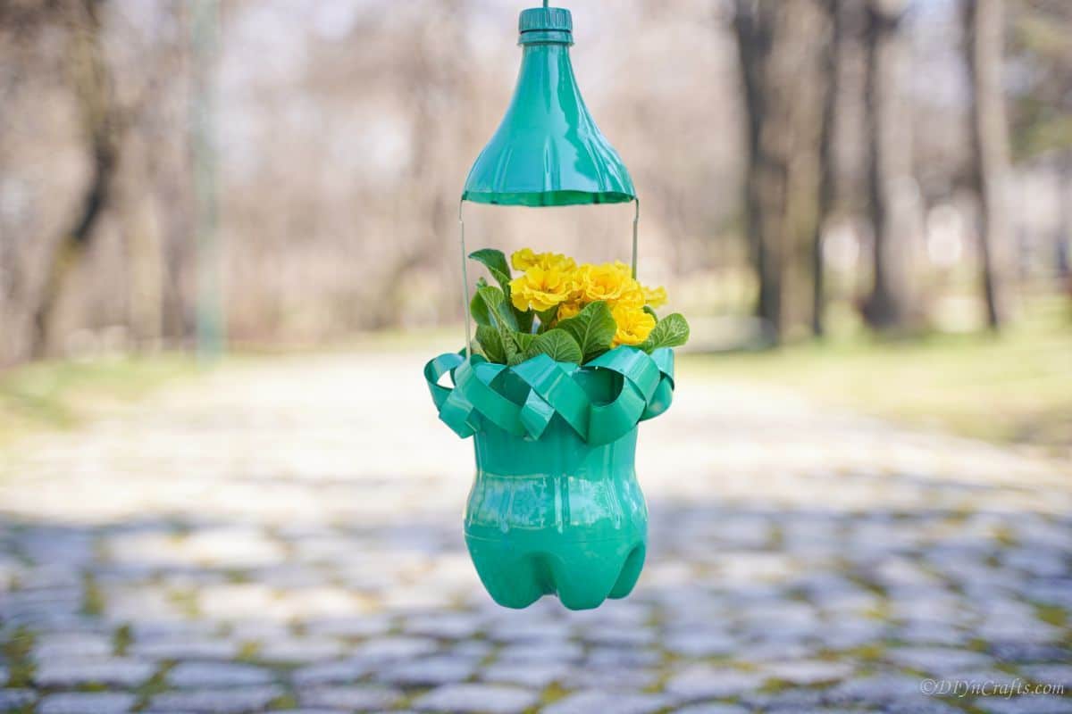 green plastic bottle planter holding yellow flowers over rock road