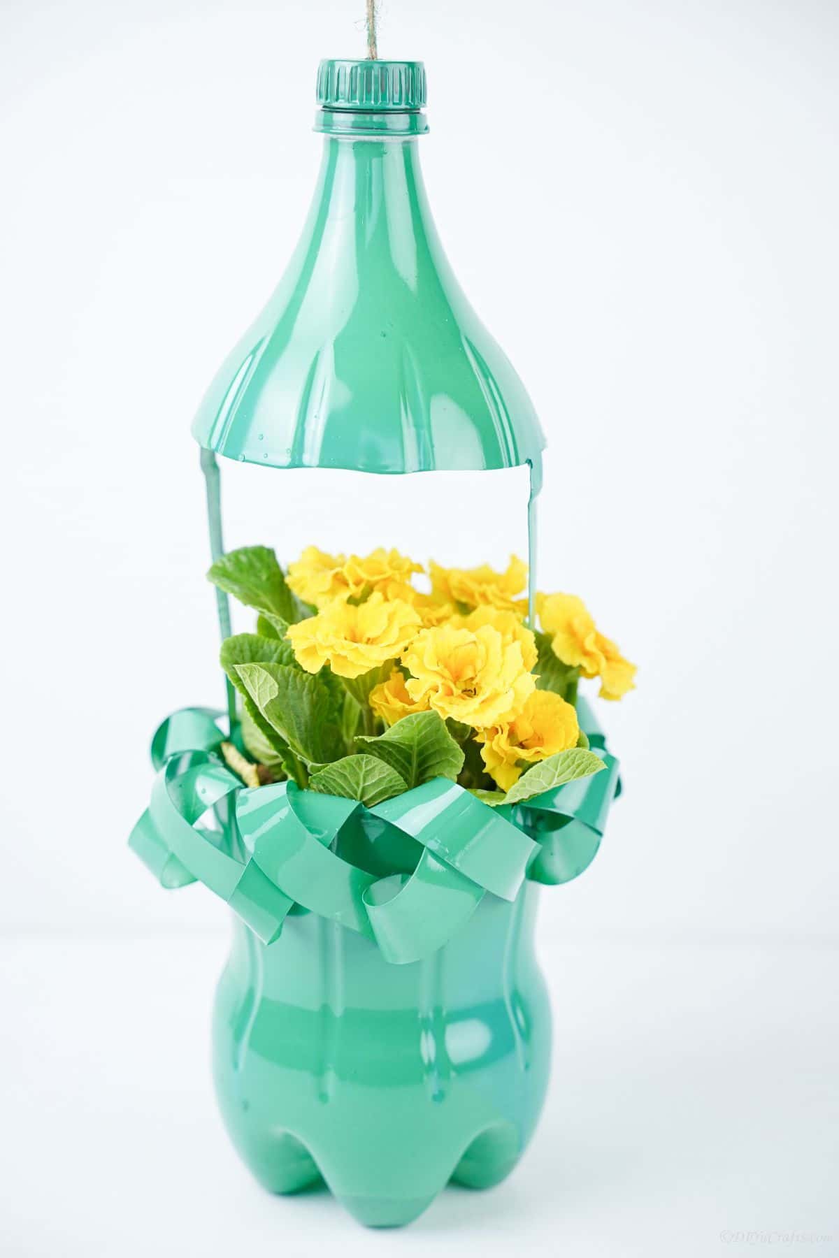 green plastic bottle planter on white background