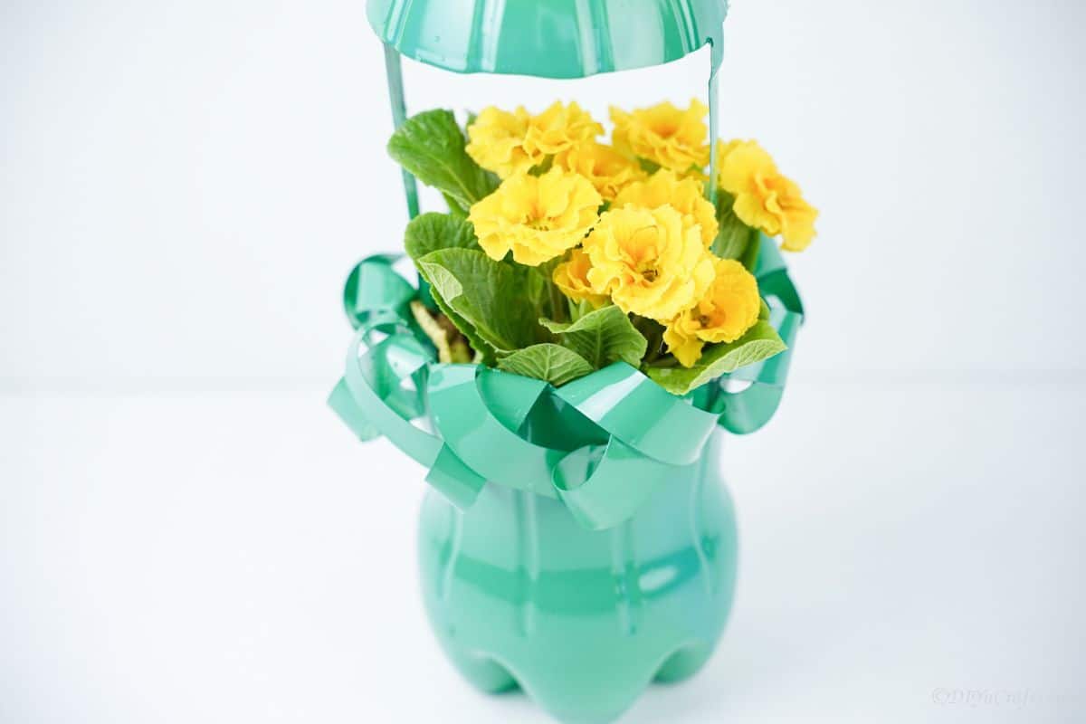 yellow flowers in green planter made of plastic bottle on white background