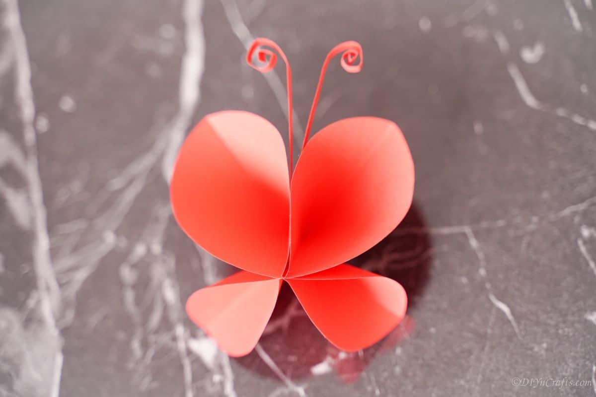 paper butterfly on the marble counter