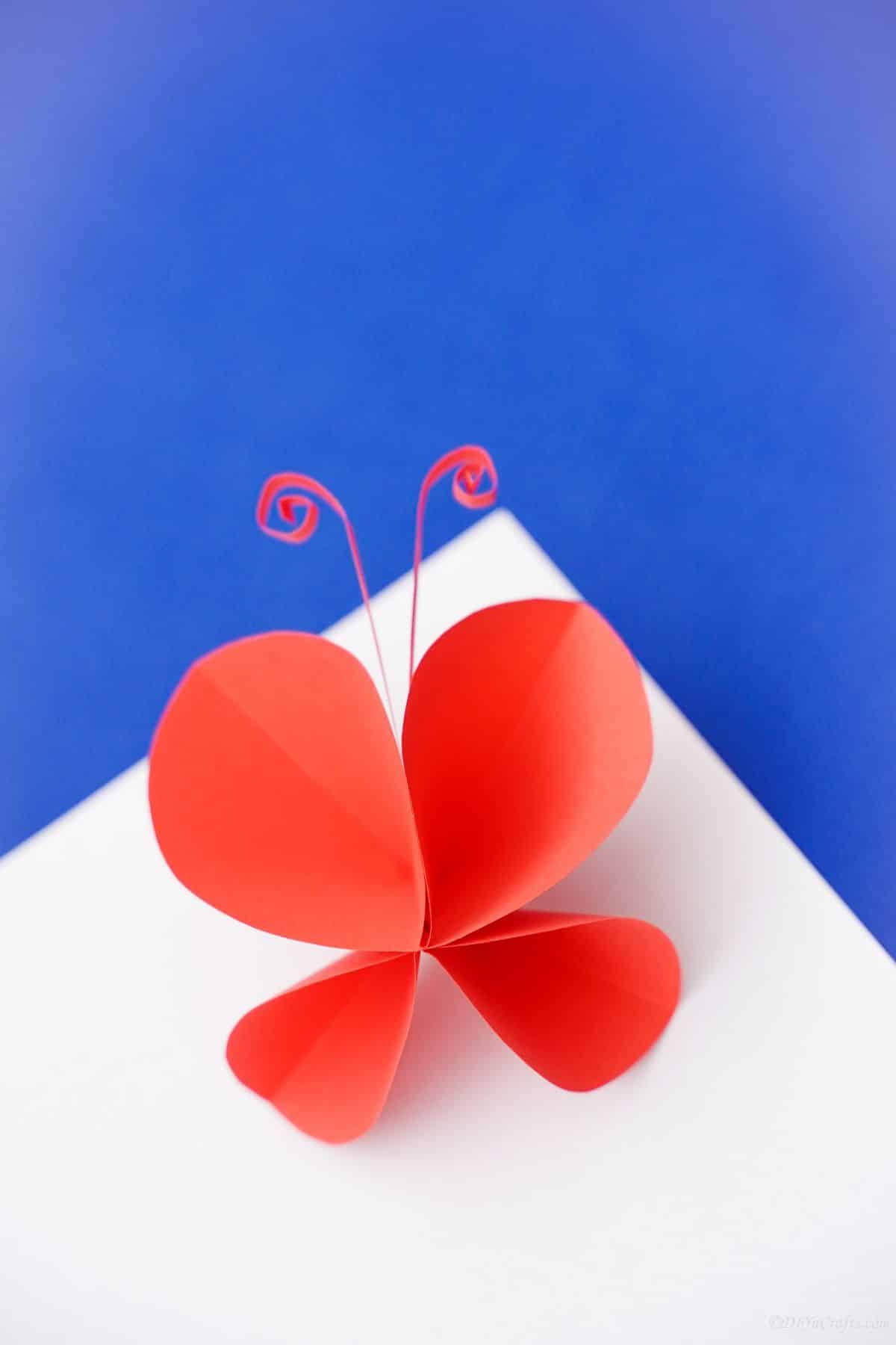 paper butterfly laying on white and blue paper