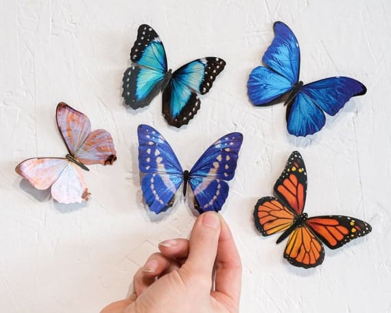 Realistic Paper Butterflies Double-sided Butterfly Craft - Etsy
