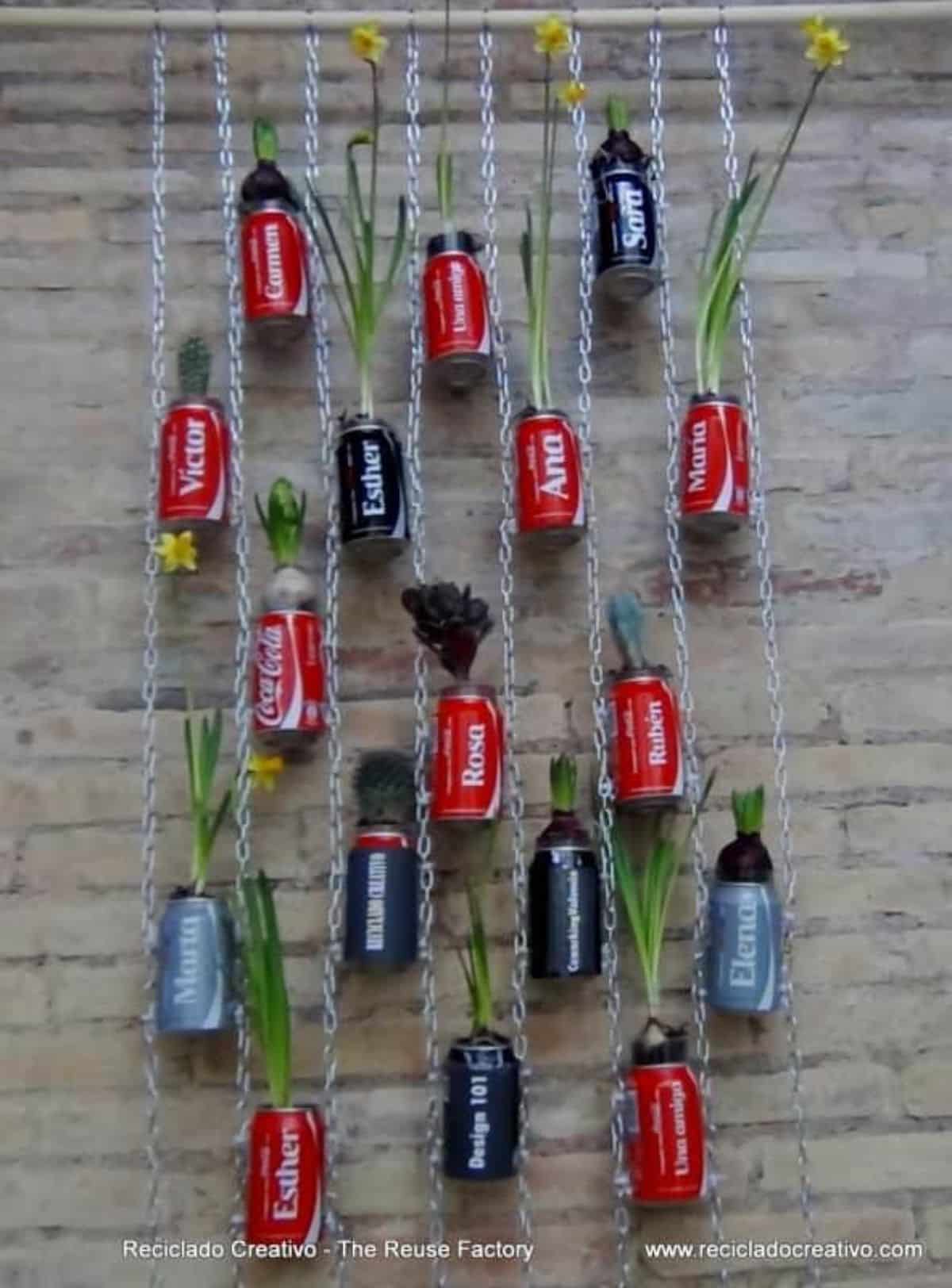Vertical Hanging Garden Using Coca Cola Cans