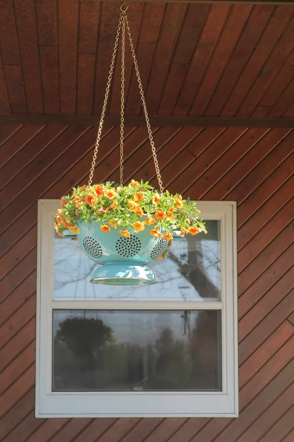 DIY Hanging Colander Planter