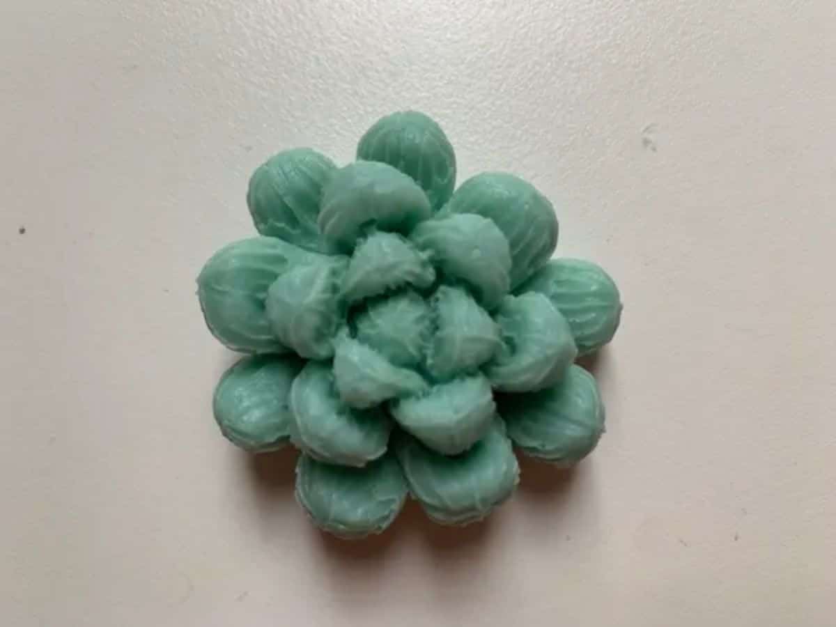 A succulent wax candle.