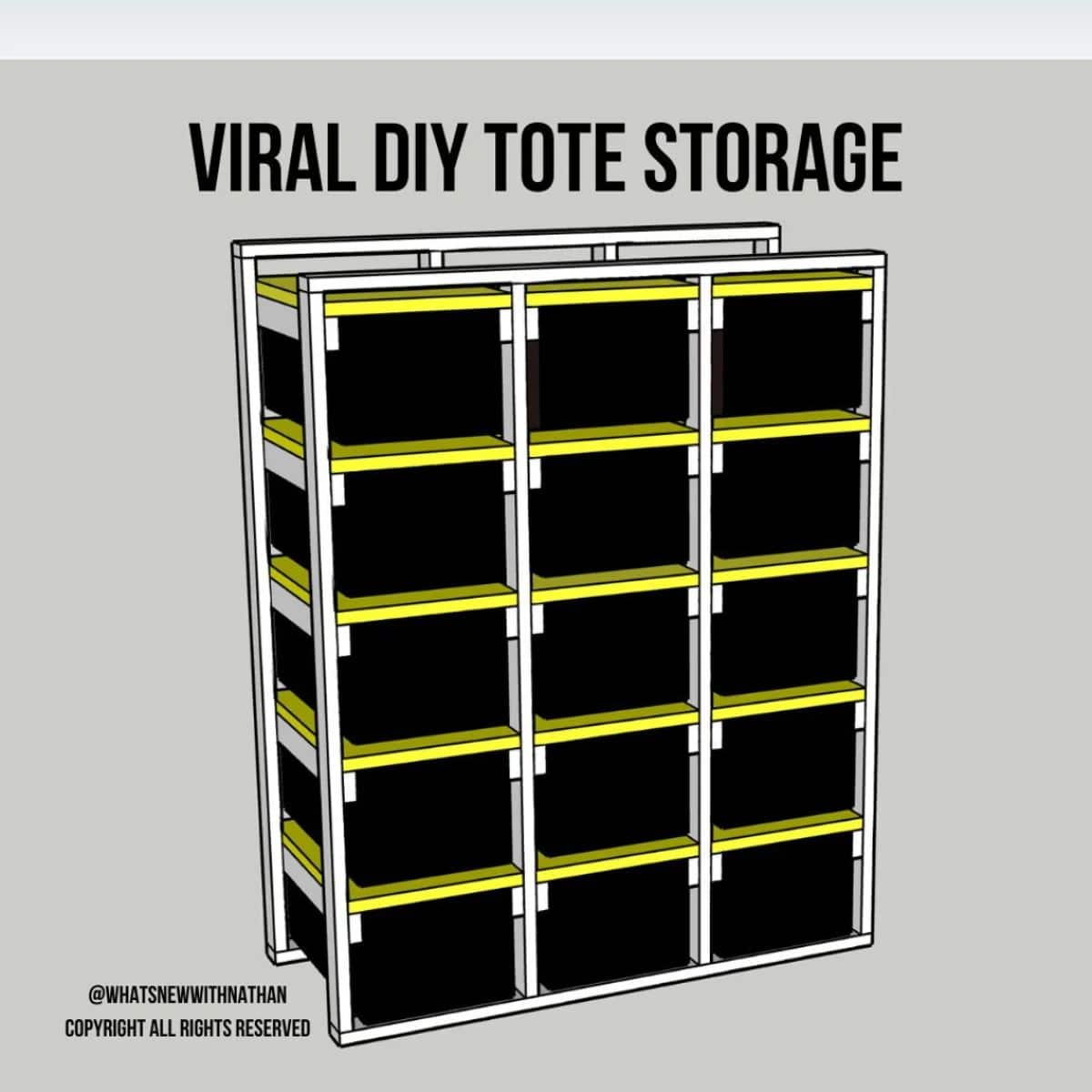 VIRAL DIY Tote Storage