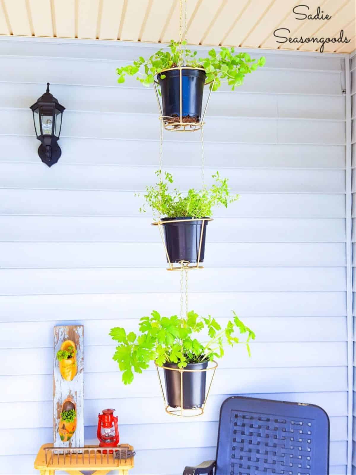 Lampshades as Hanging Herb Baskets