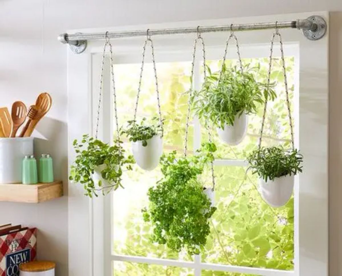 Window-Mounted Curtain Rod Hanging Garden