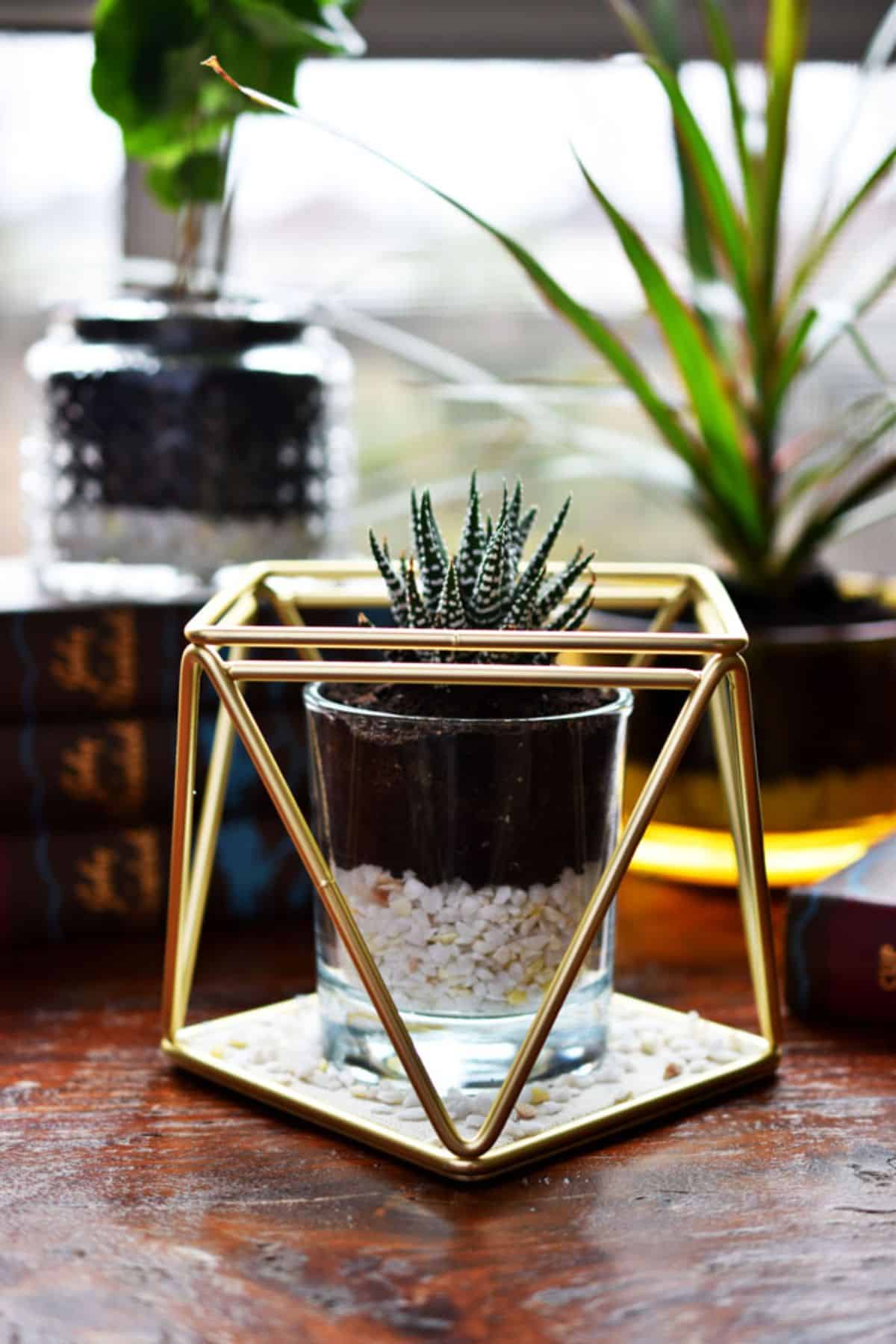 DIY Terrarium Made With A Candle Jar & A Jewelry Organizer