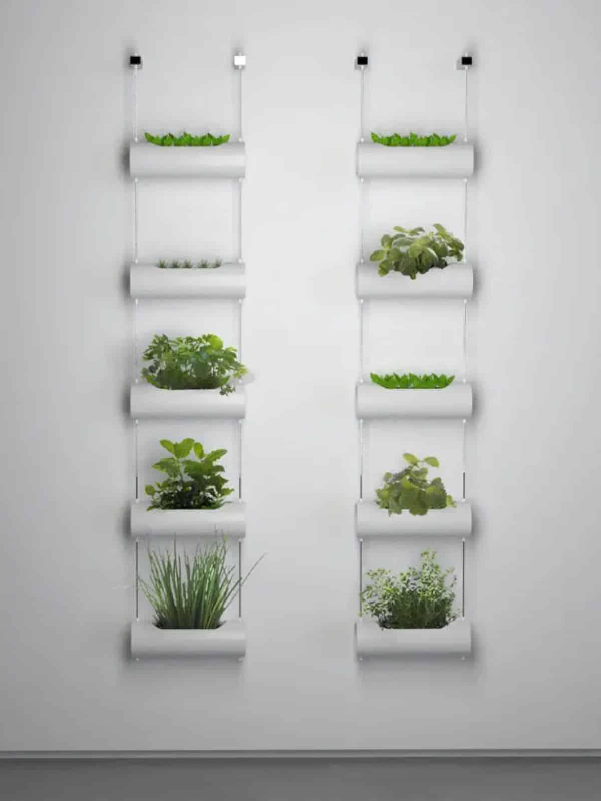 Vertical Vases for Mini Indoor Garden