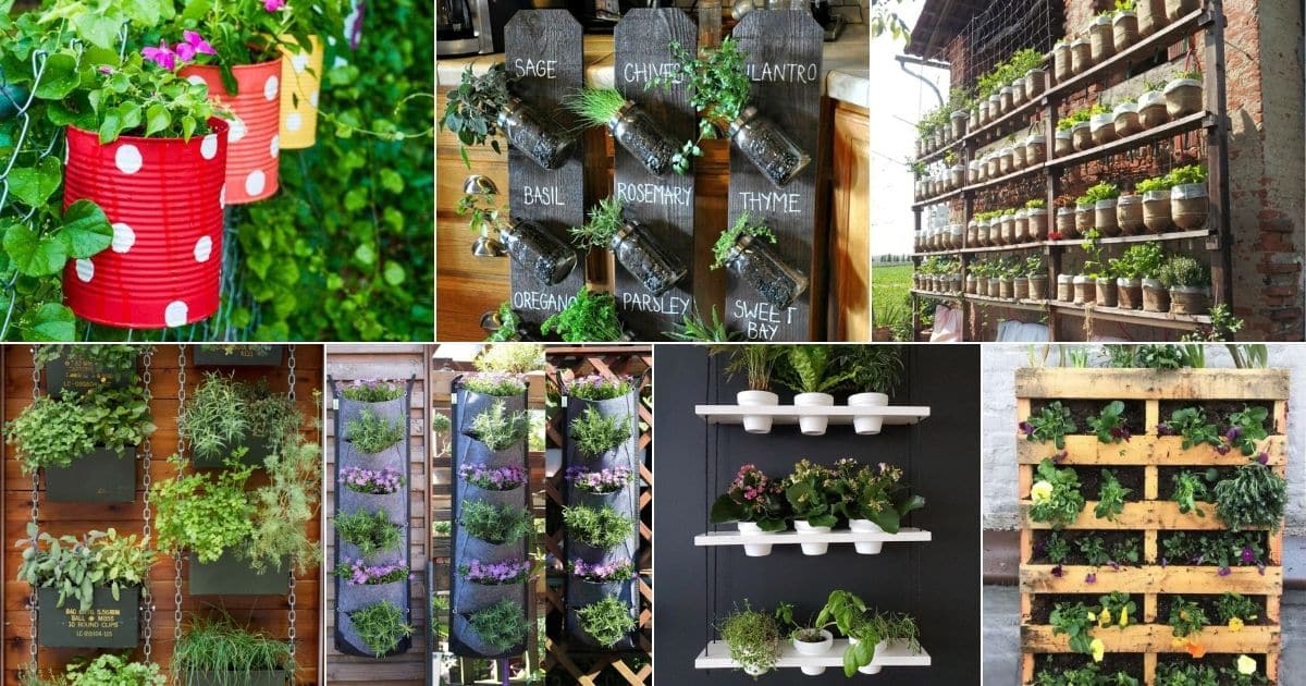 39 Indoor and Outdoor Wall Herb Garden Ideas facebook image.
