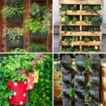 4 Indoor and Outdoor Wall Herb Garden Ideas