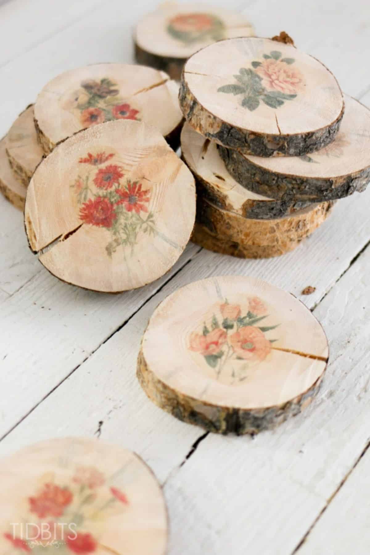 Botanical Wood Slices