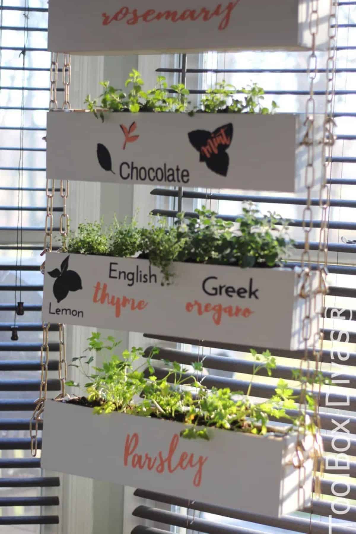 Vertical Herb Garden Using Toolboxes