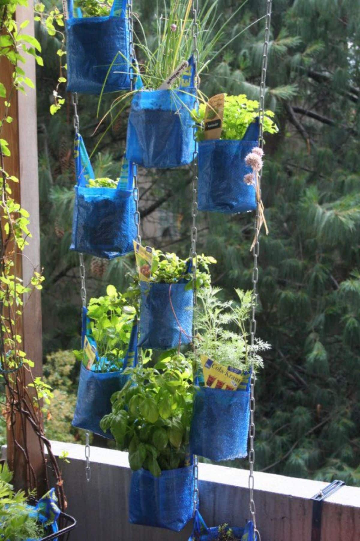 DIY Hanging Garden With Shopping Bags