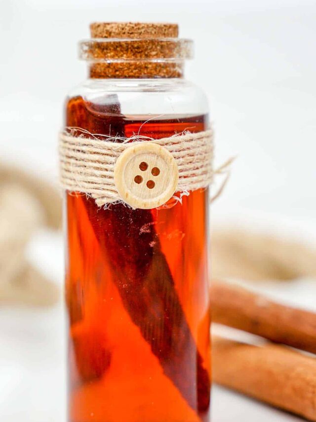 Homemade Cinnamon Extract Gift Idea