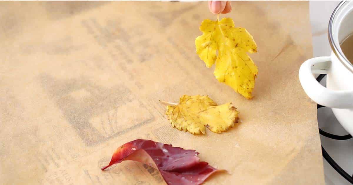 how to preserve fall leaves for fall crafts