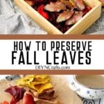 photo collage of fall leaf preservation for crafts with text which reads how to preserve fall leaves