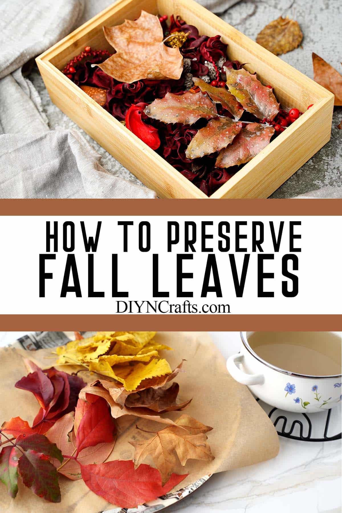 photo collage of fall leaf preservation for crafts with text which reads how to preserve fall leaves